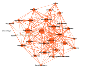 KOL Influence Networks on Social Media